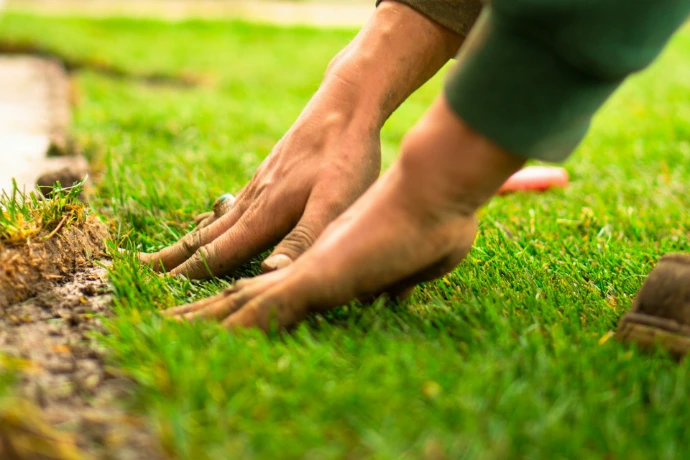 A close up of a person's hand on the grass