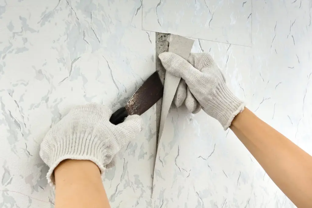 
Wallpaper Removal
