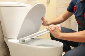 Bidet Toilet Seat Installation