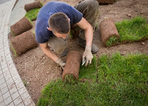 Sod Installation