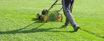 
Lawn Mowing