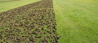
Lawn Aeration