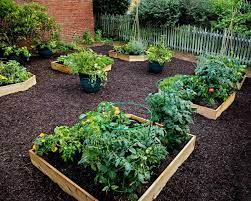 
Build Garden Bed
