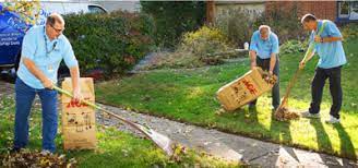 
Yard Clean-up