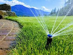 
Sprinkler System Installation