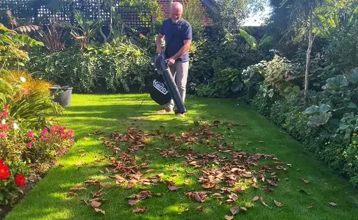 
Leaf Blowing